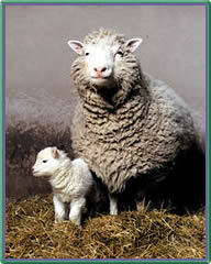 Dolly and her mother